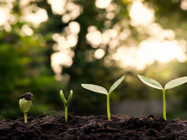 AI for Environmental Sustainability