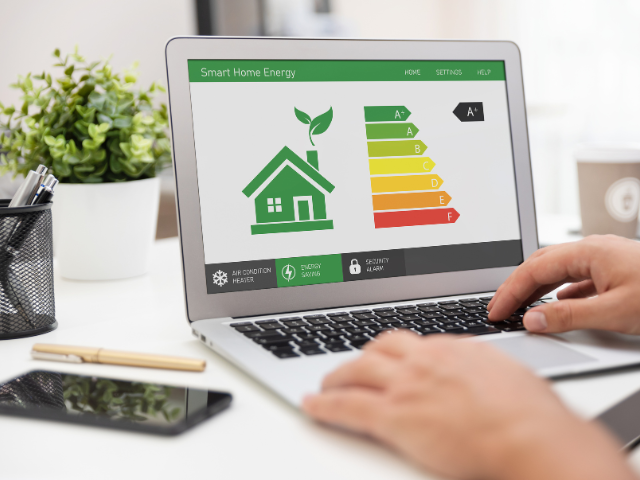 Green AI and Energy Efficiency